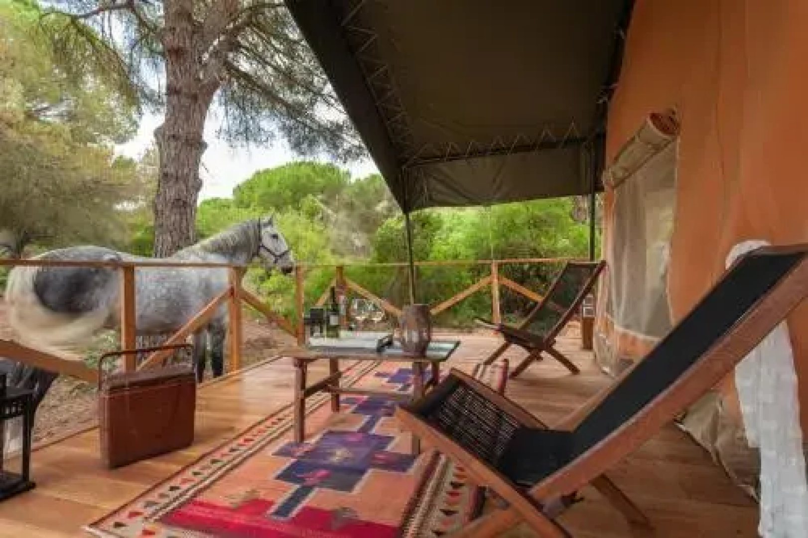 Glamping Dehesa de las Yeguas