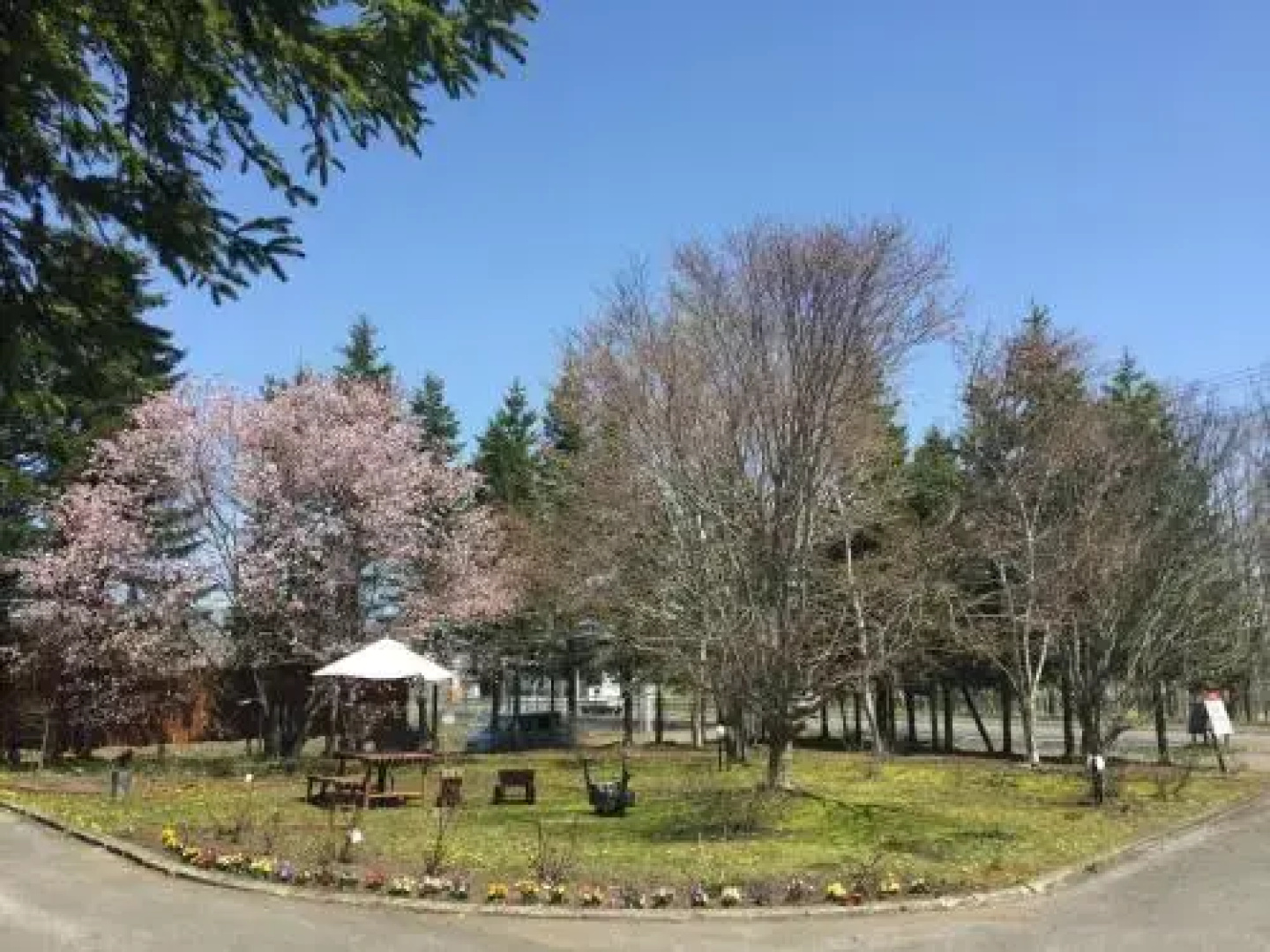 Woody Hotel and Restaurant Yumekoubo