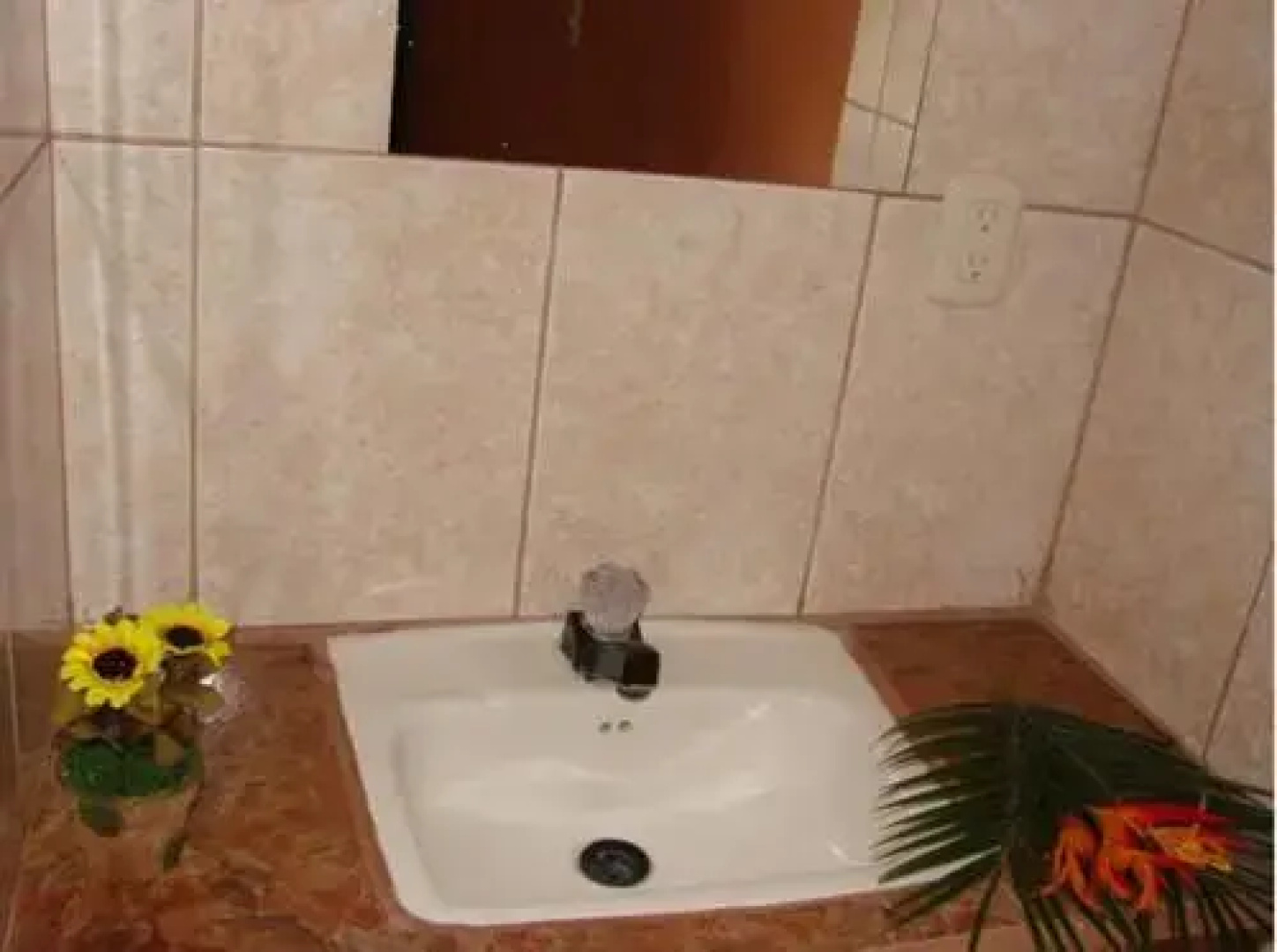 Hotel el Tropico