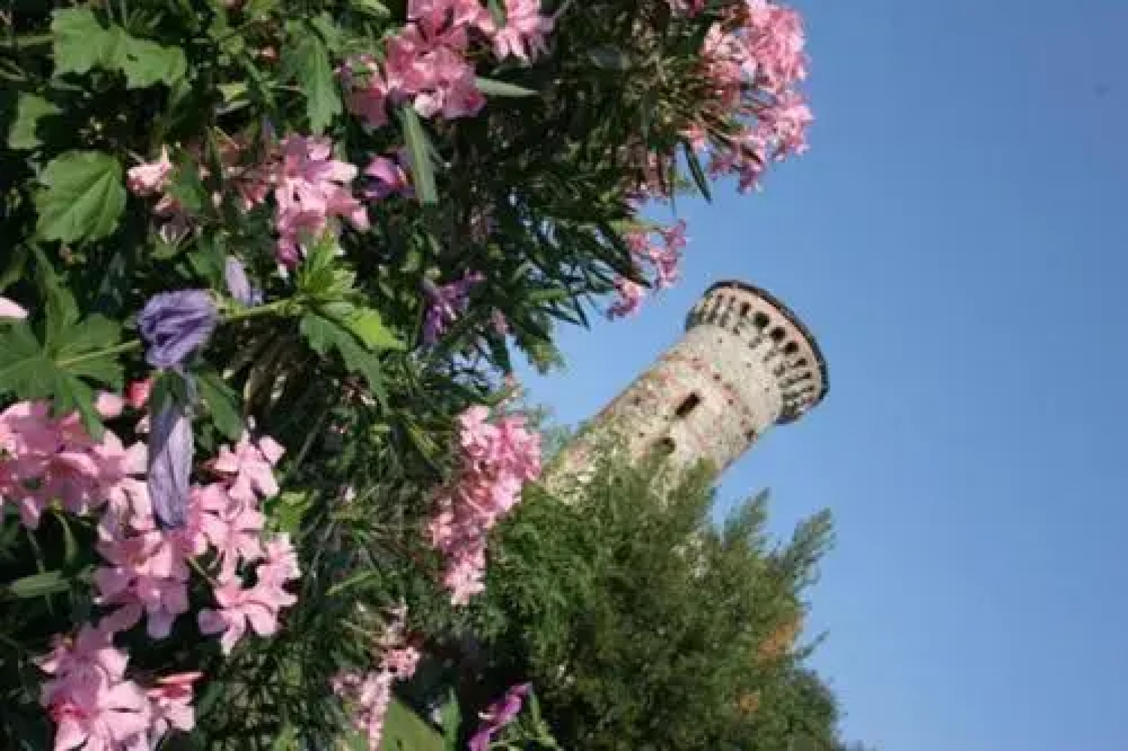 La Bustina di Zucchero