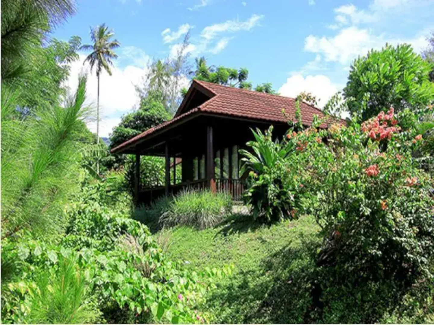 Black Sand Dive Retreat