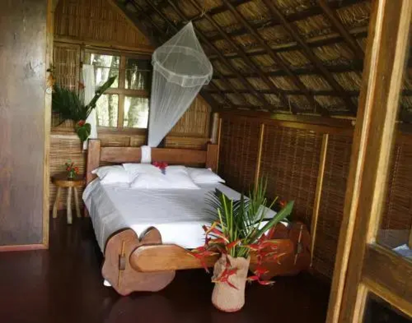 Art Jungle Eco Lodge