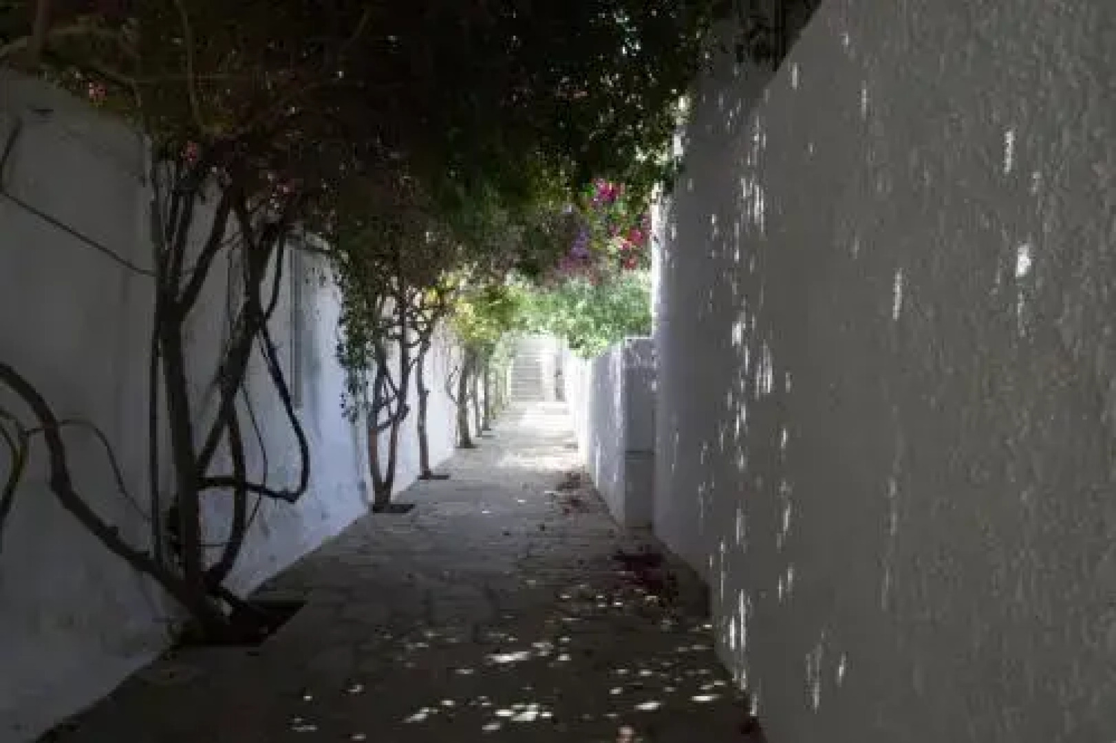 Kiki's Houses Vlichos