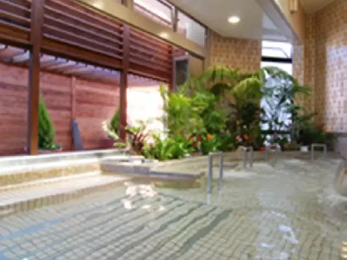Ryokan Nadeshiko no Yu