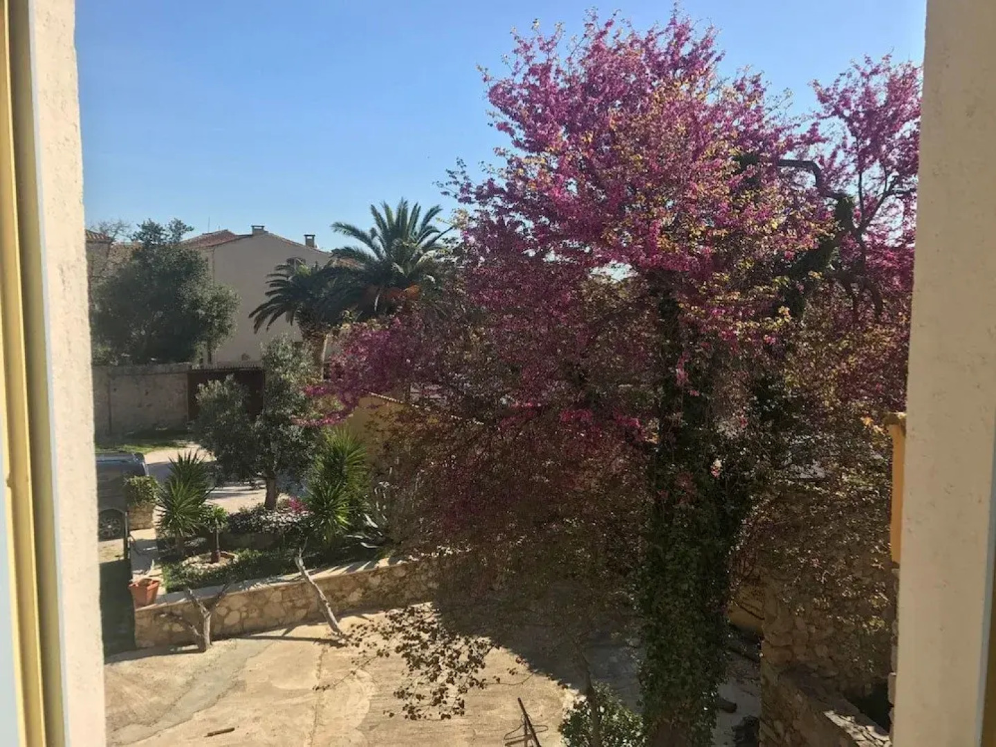 Résidence Jardin de Palme