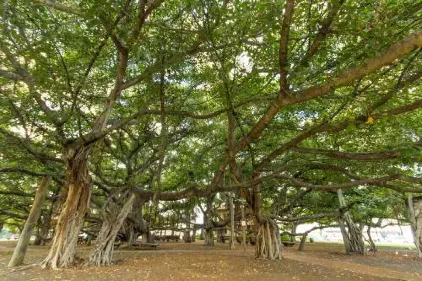 A Slice of Heaven - Four Bedroom House