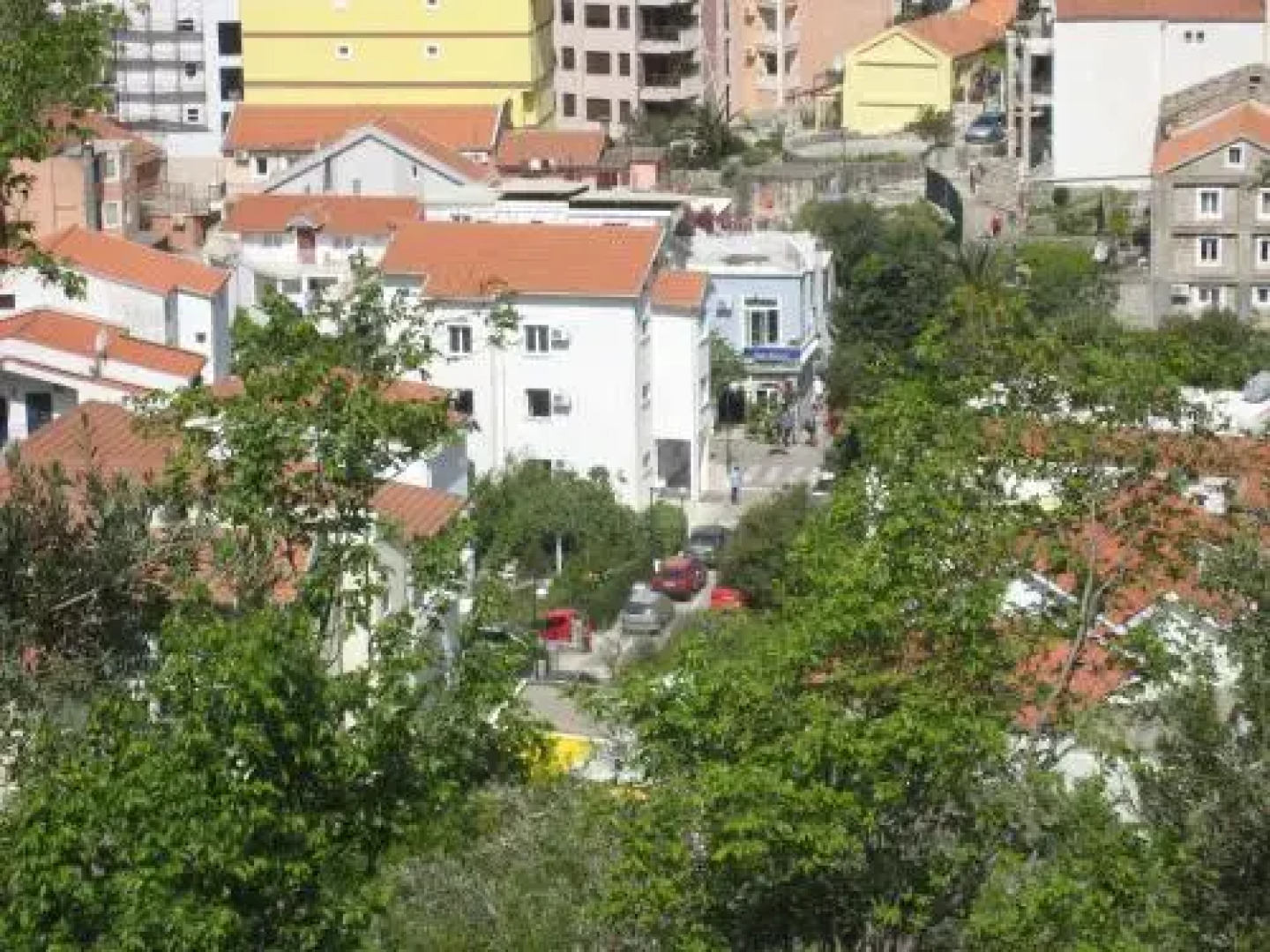 Guesthouse Morris Rafailovici