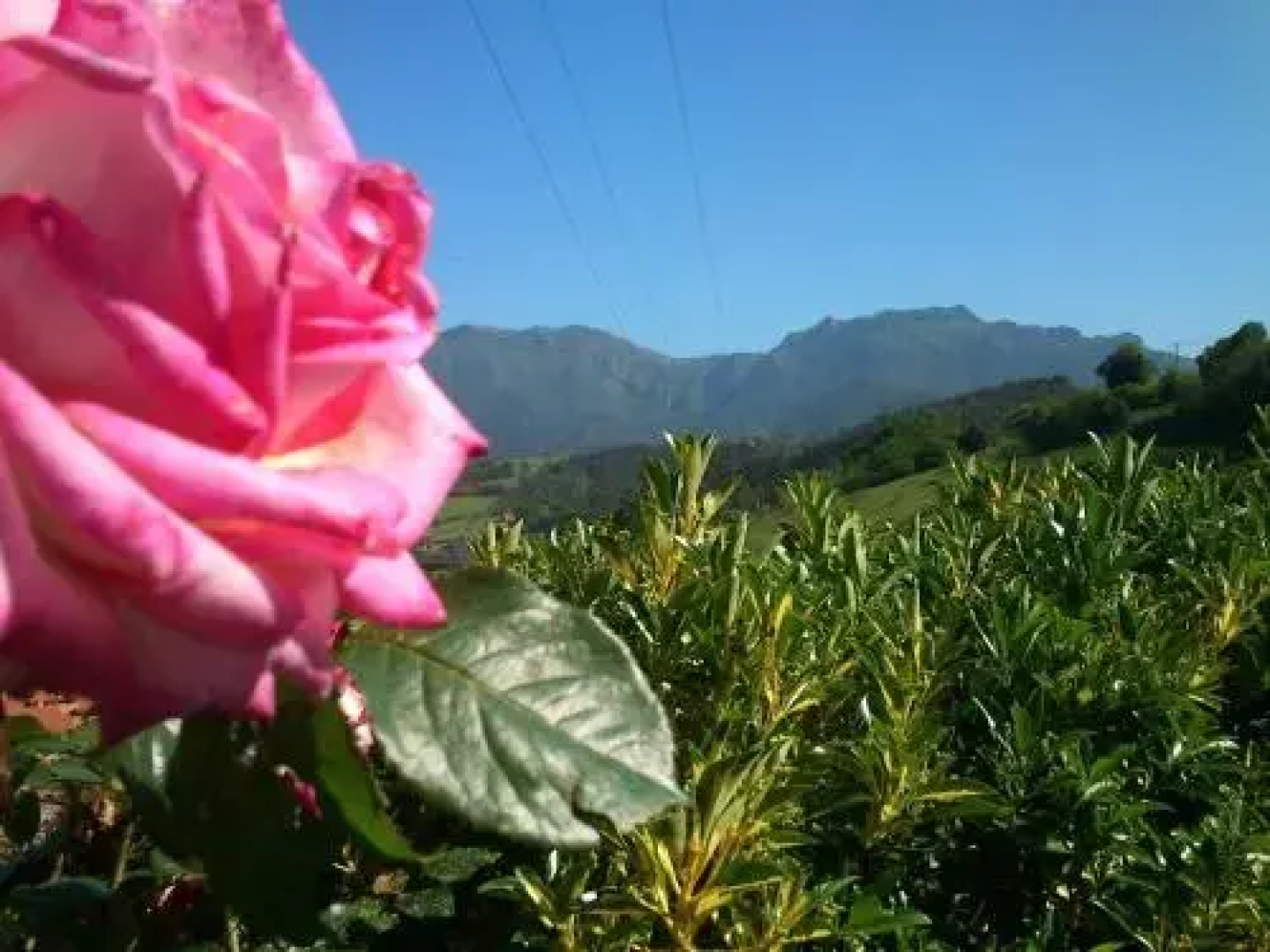 Apartamentos Rurales La Güertona