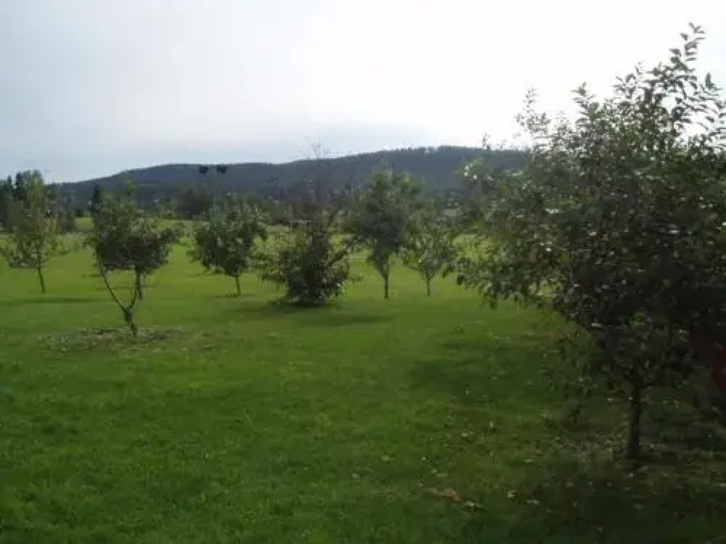 Åbyggeby Landsbygdscenter