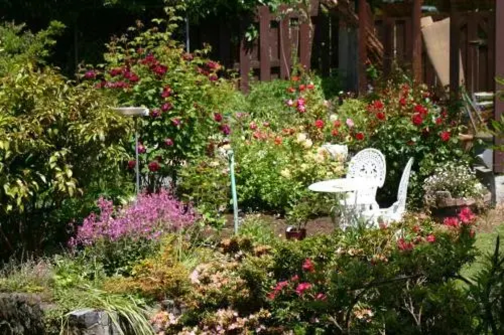 Arts Content Bed and Breakfast