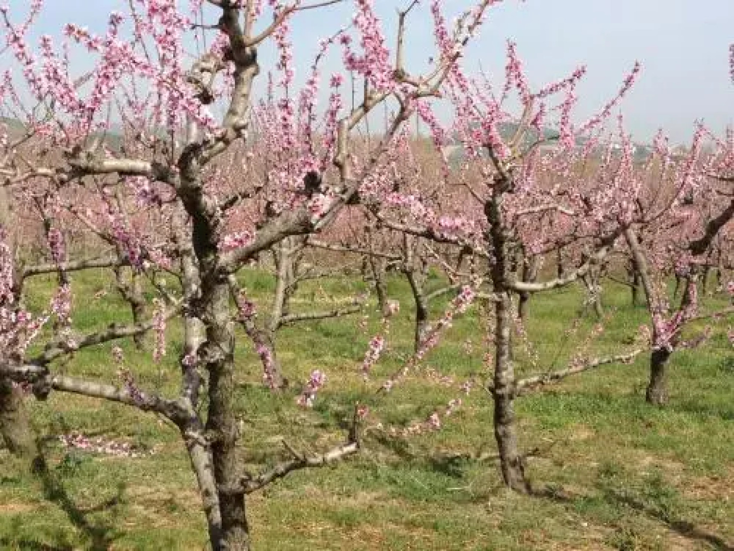 Agriturismo La Rosa Dei Venti