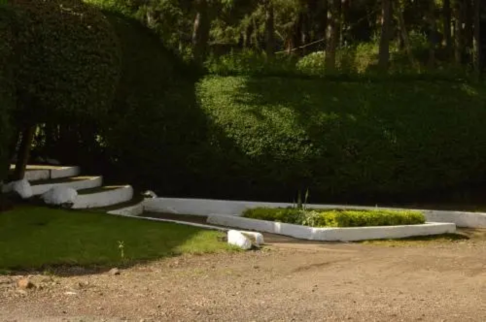 Thomson Falls Lodge