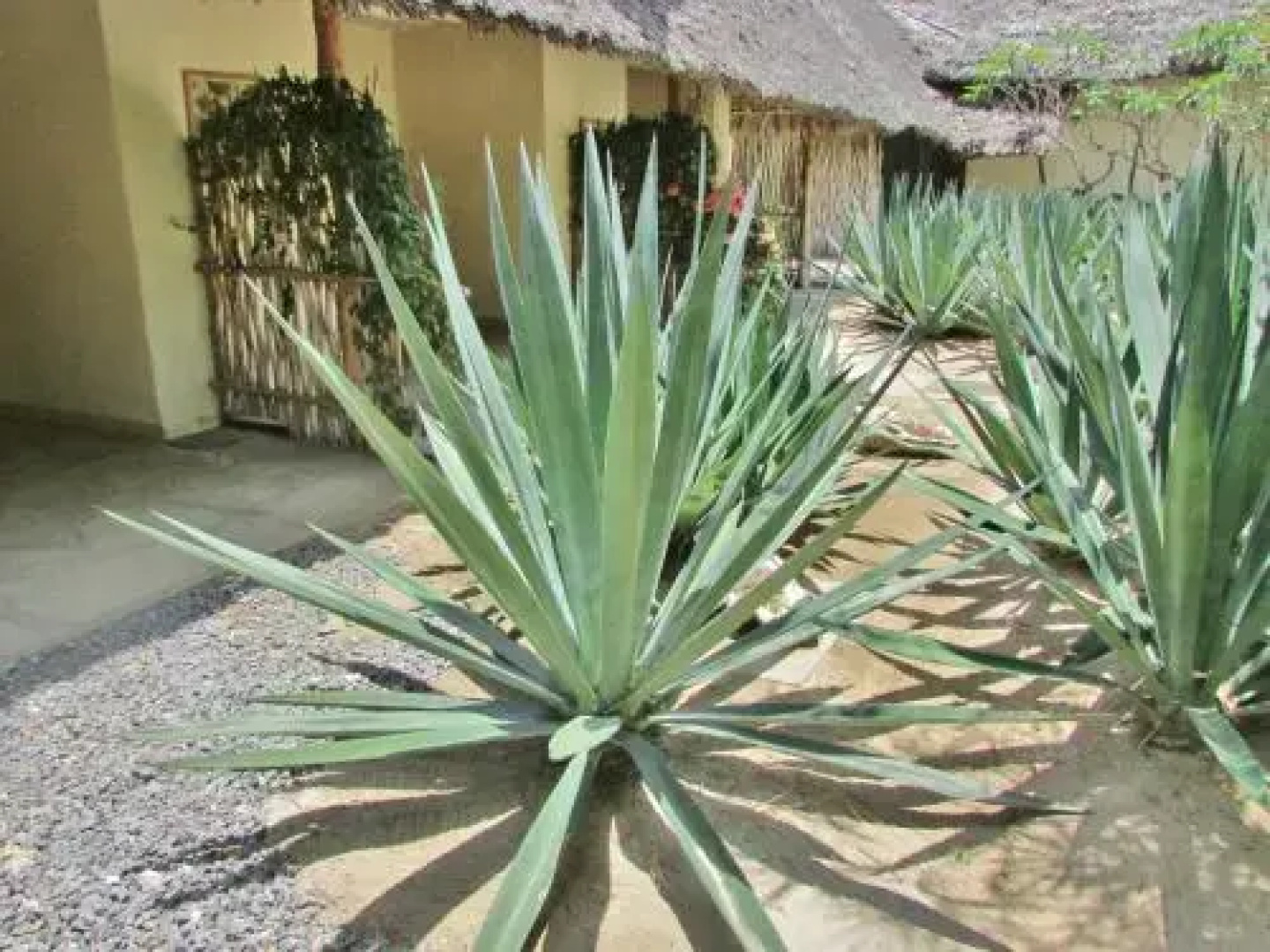 Mawimbi Lodge