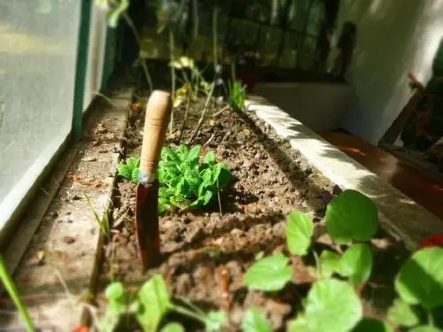 La Casona De Odile Hostel