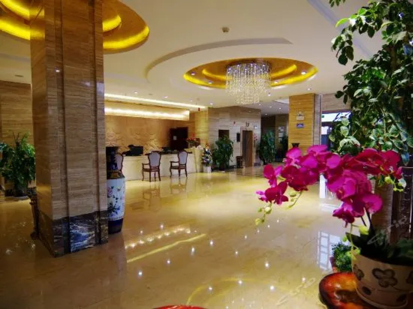 Star World Hotel