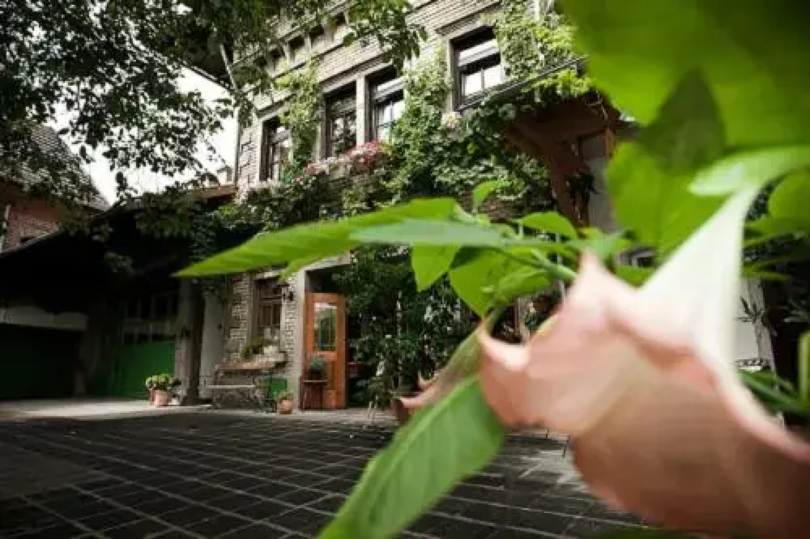 Gästehaus Guntersblum