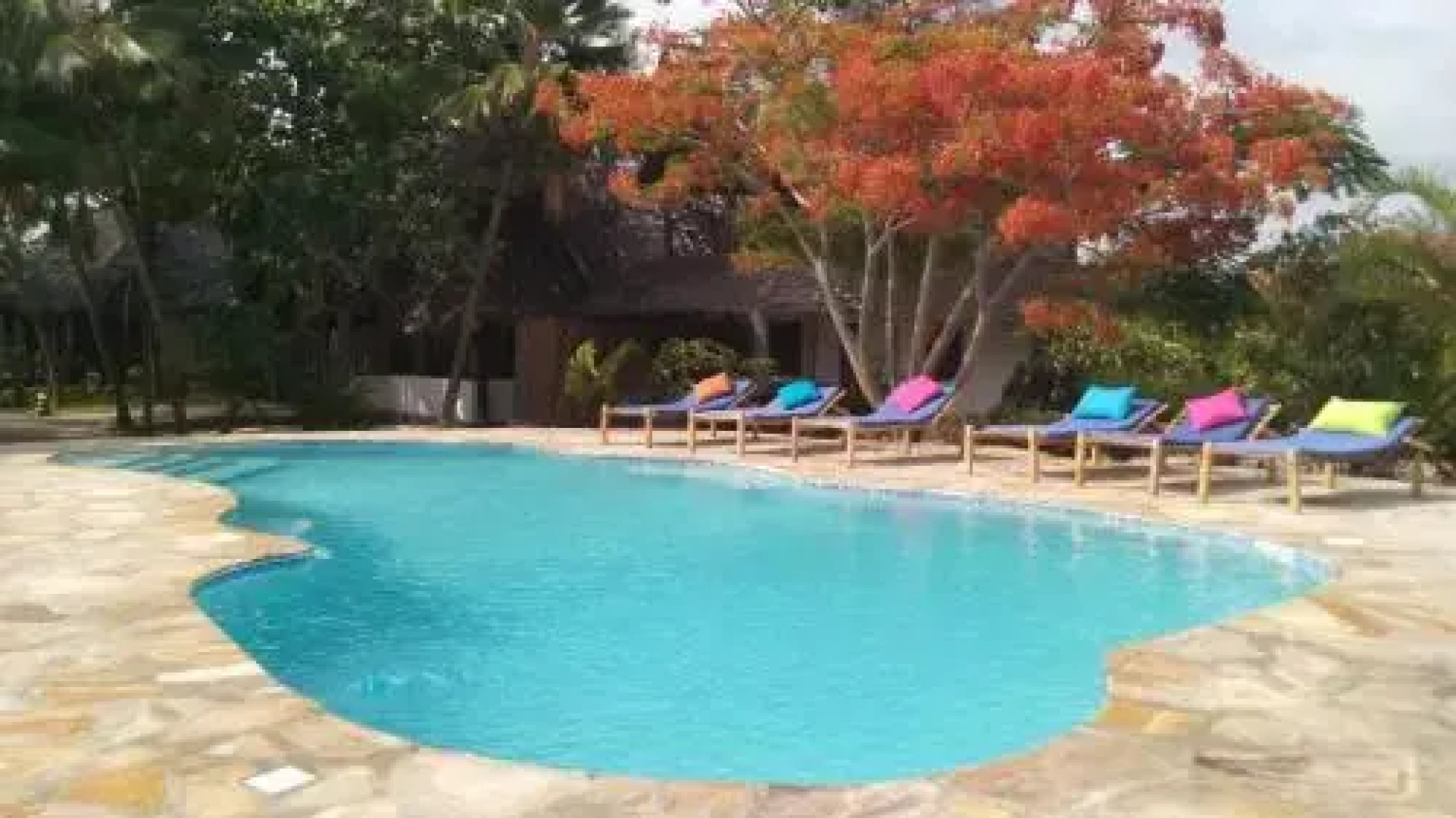 The Coco Paradise