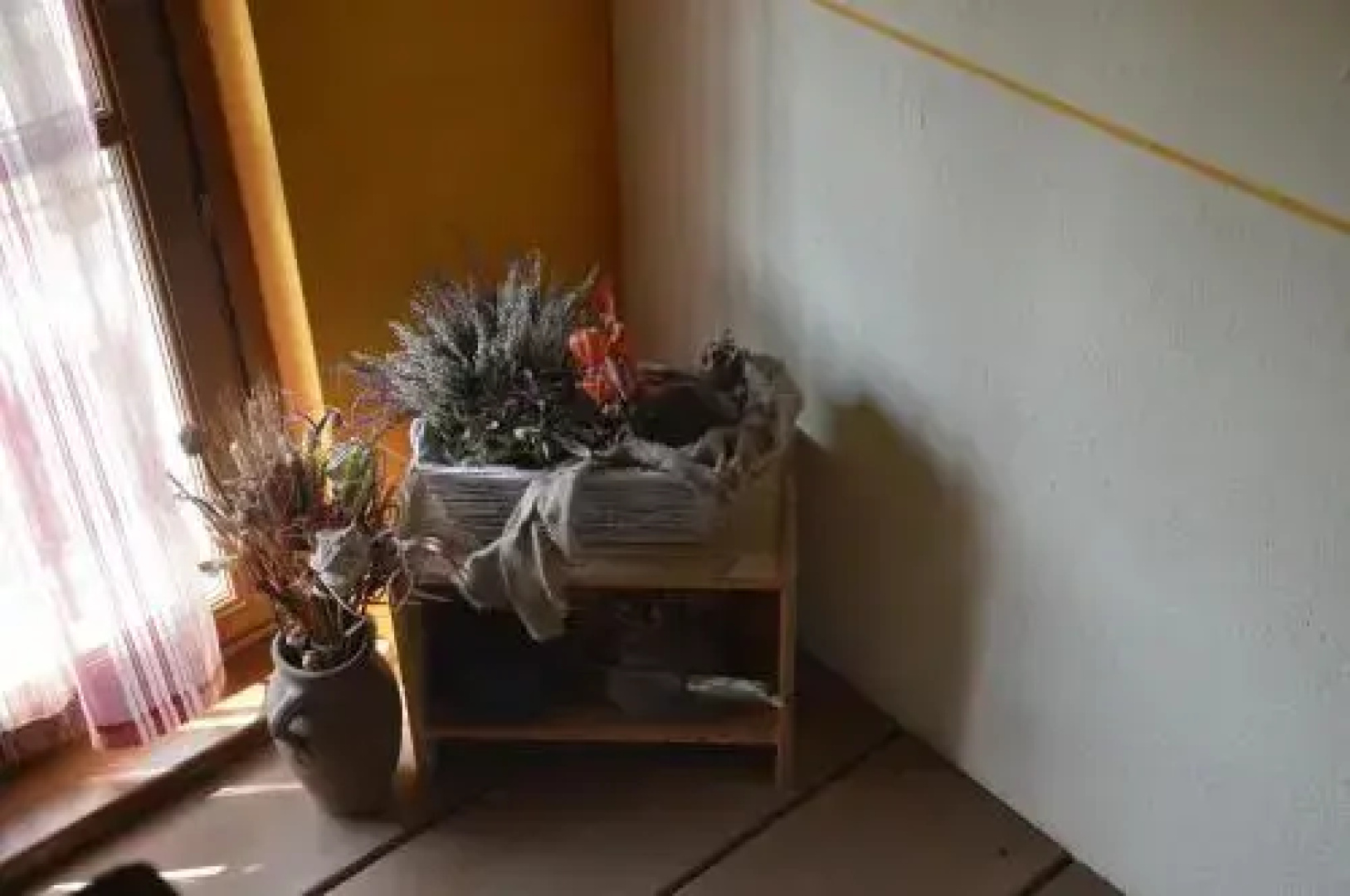 Agriturismo Il Nido di Bacco