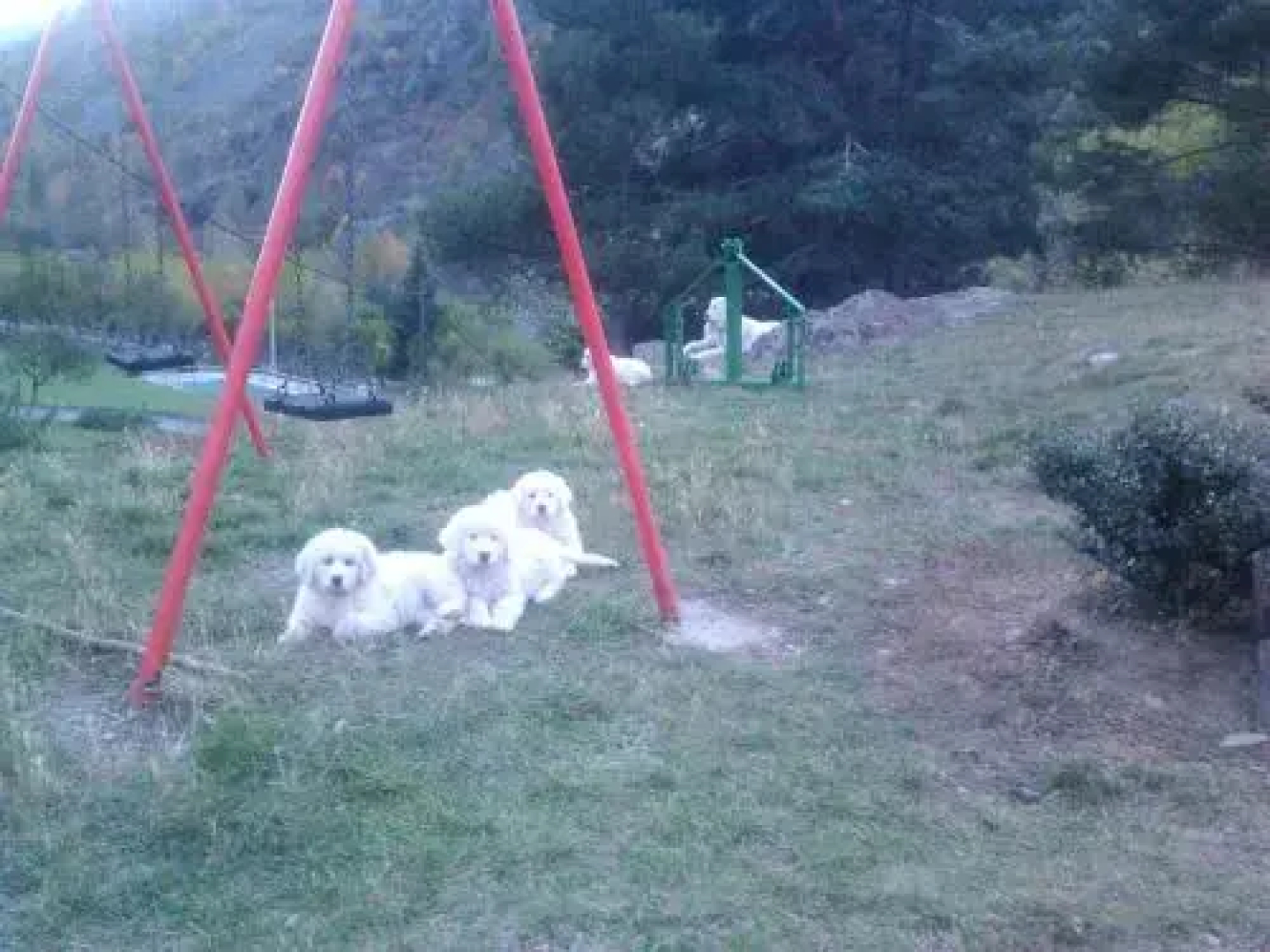 Camping Serra
