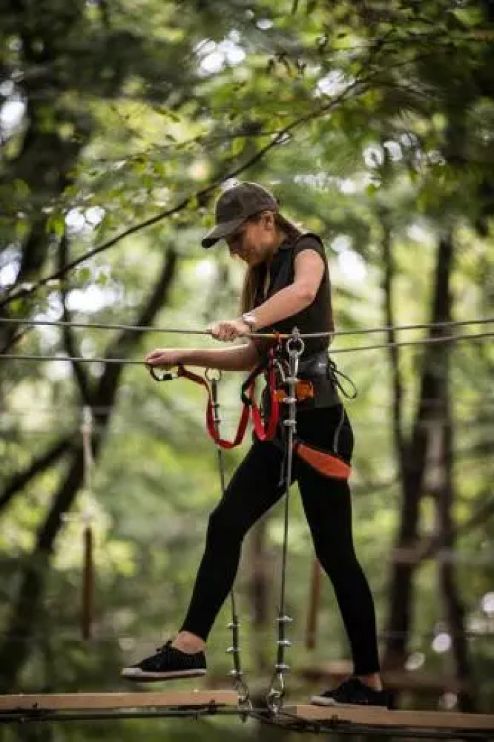 Arsenal Park Transilvania
