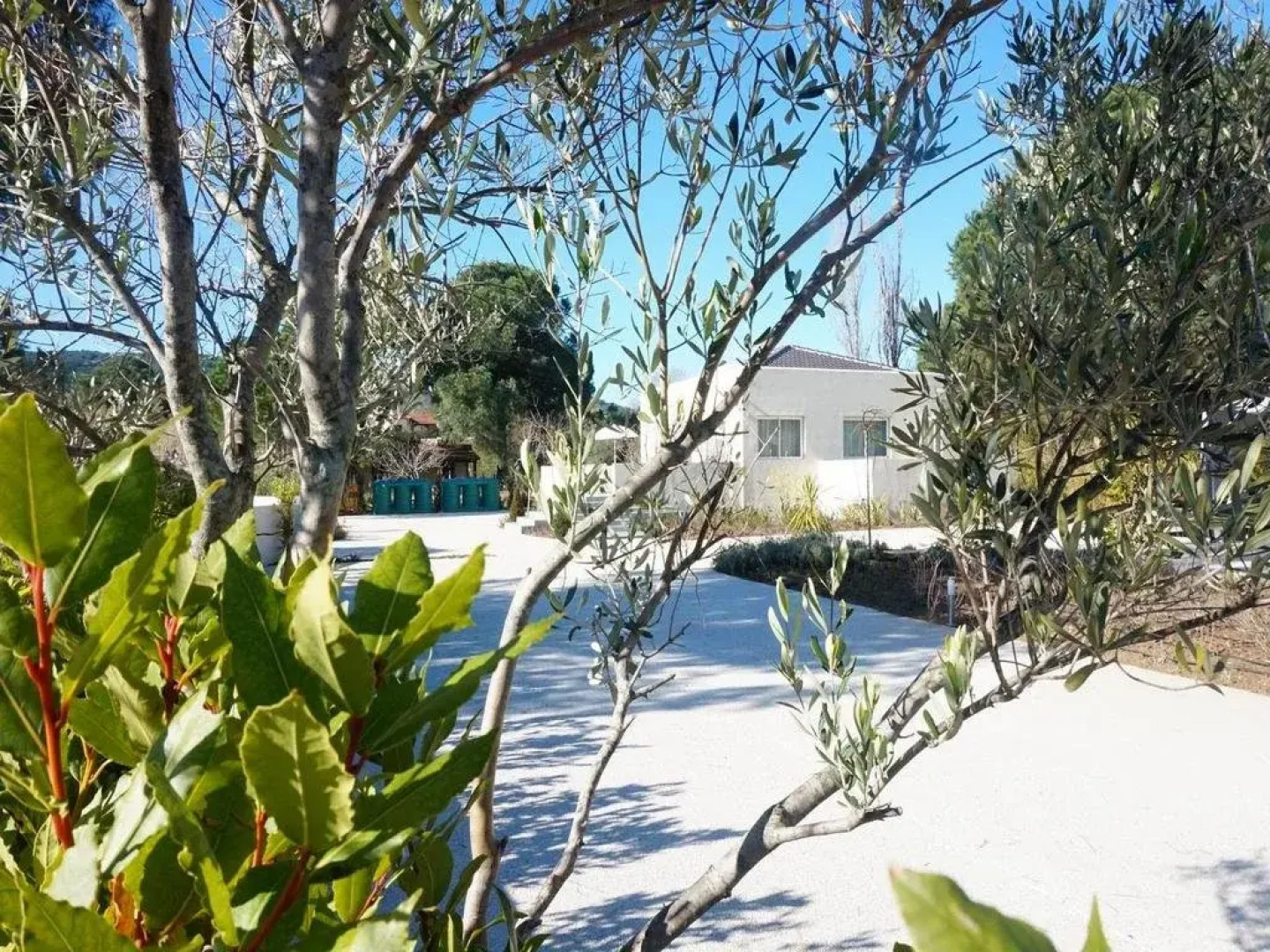 Tiamo Secrets - River Beach