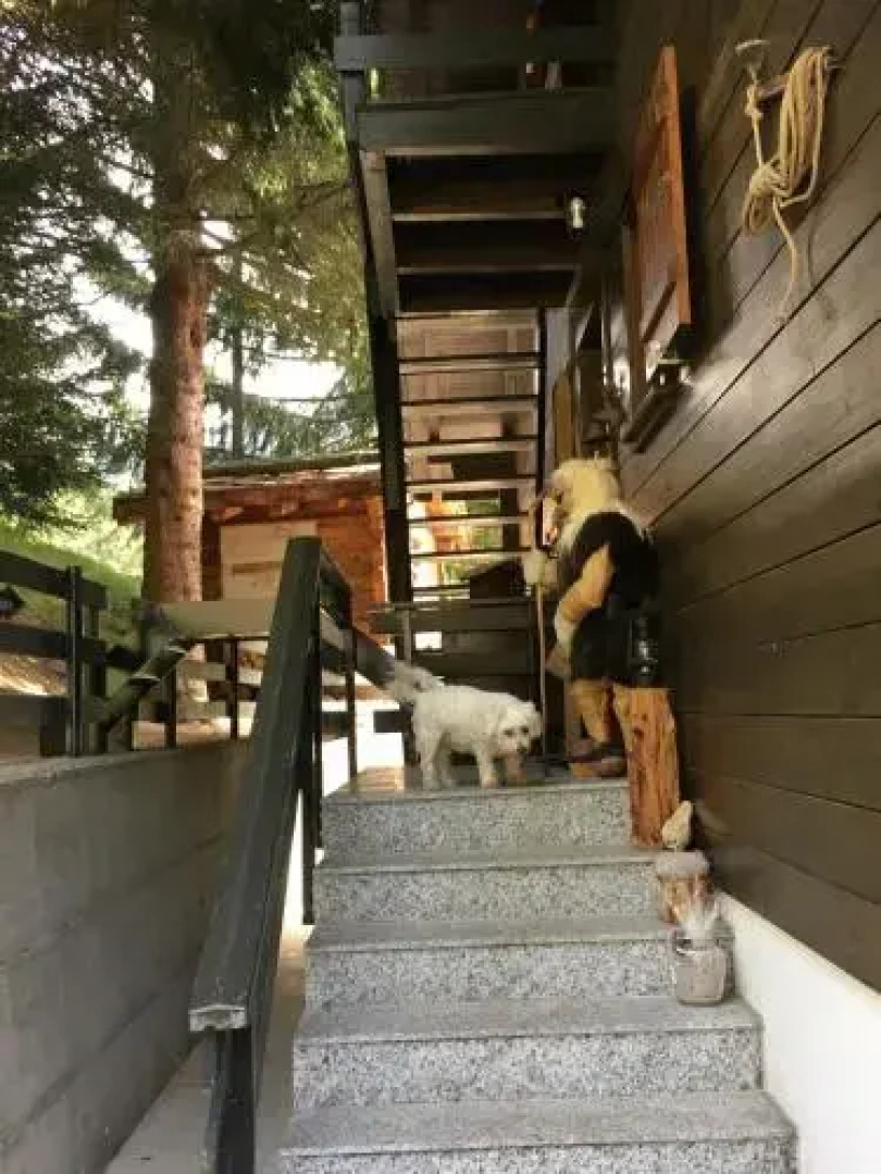 Chalet Ariane