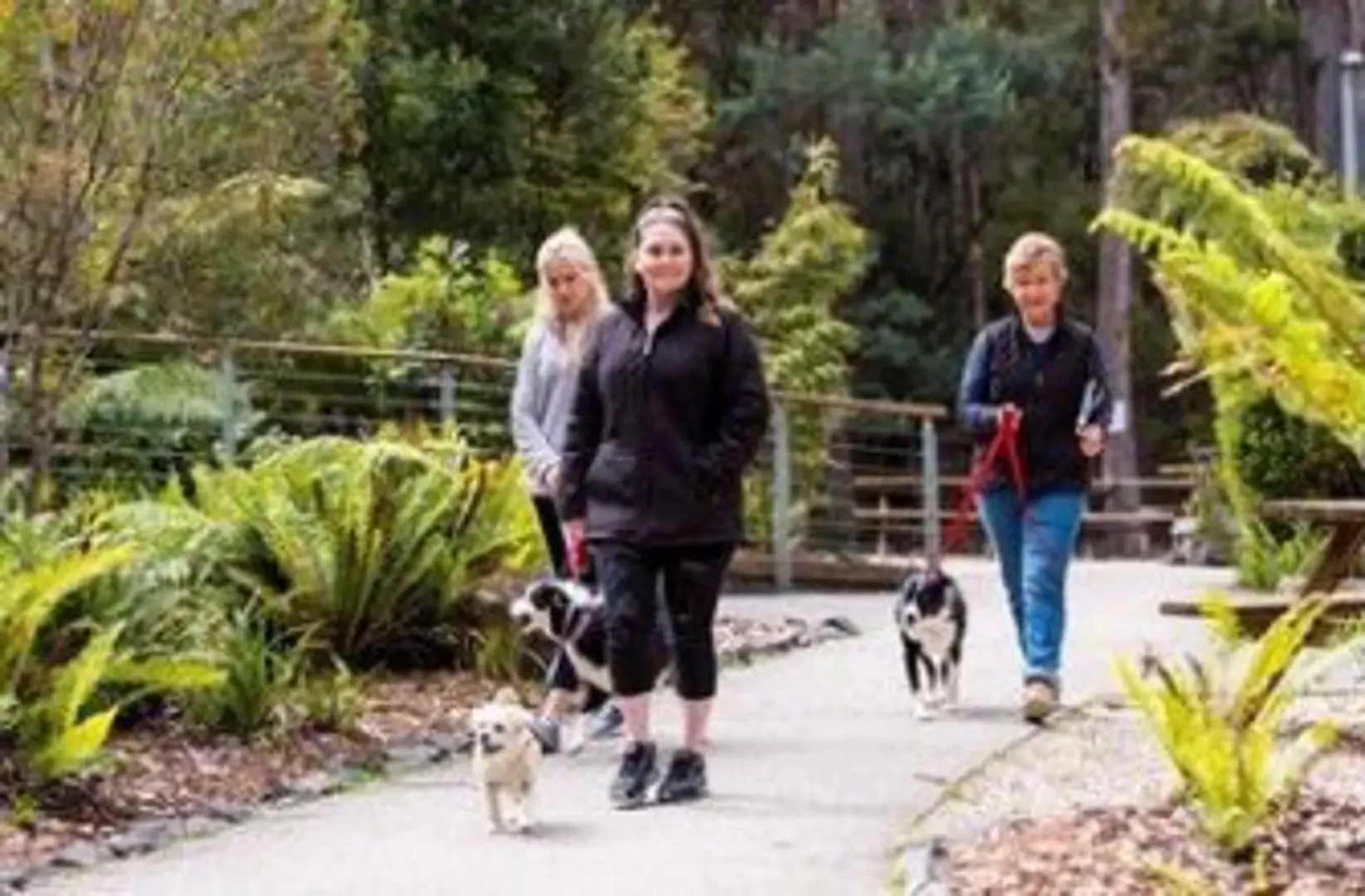 Airwalk Lodge - Hostel