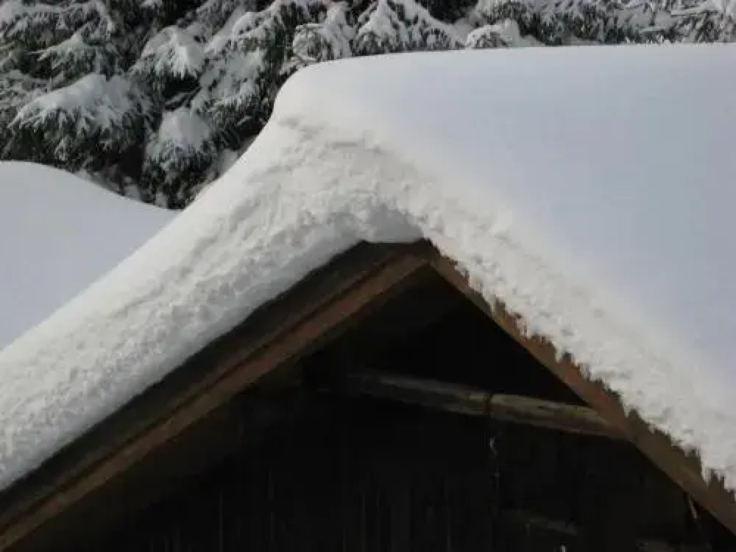 Ferienwohnung Kathrein