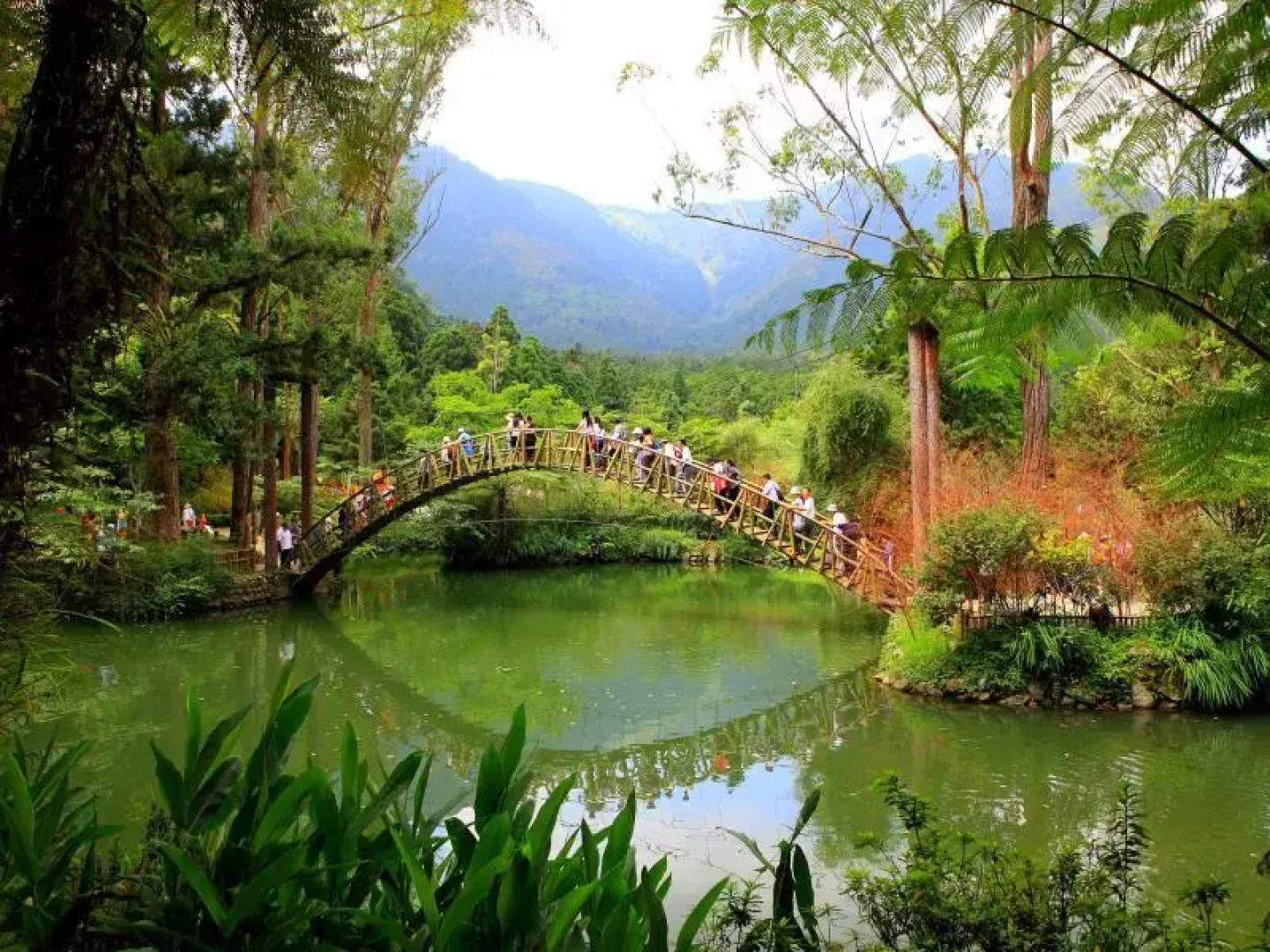 Xitou Forest Recreational Center