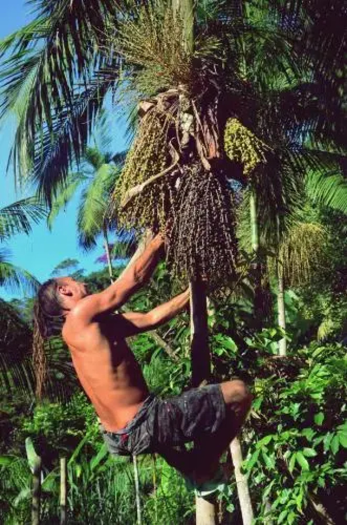 Hostel Radical Adventure