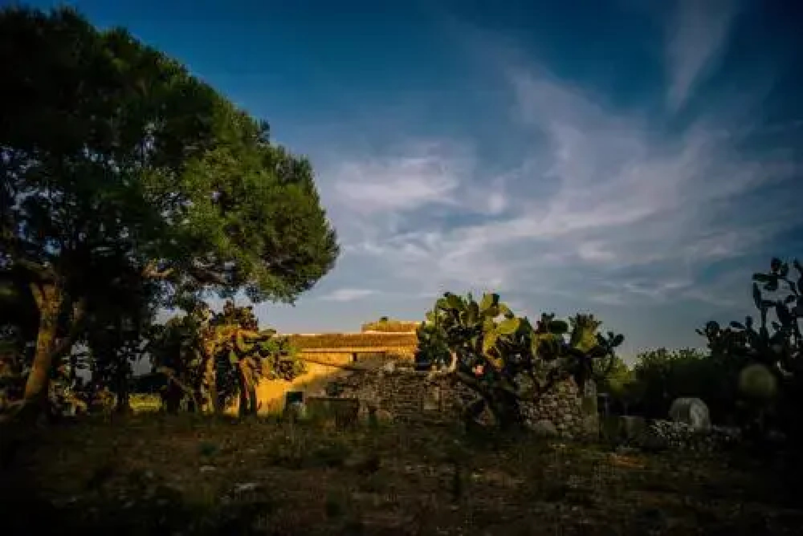 Finca El Puig