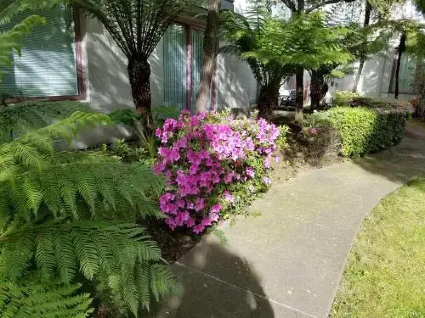 AMSI Baycrest Towers (AMSI-SF.FSBC2417)