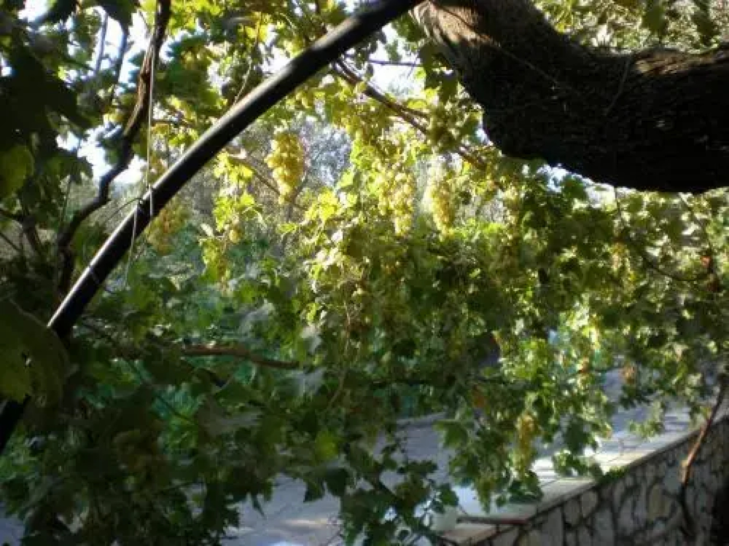 Vasiliki Studios