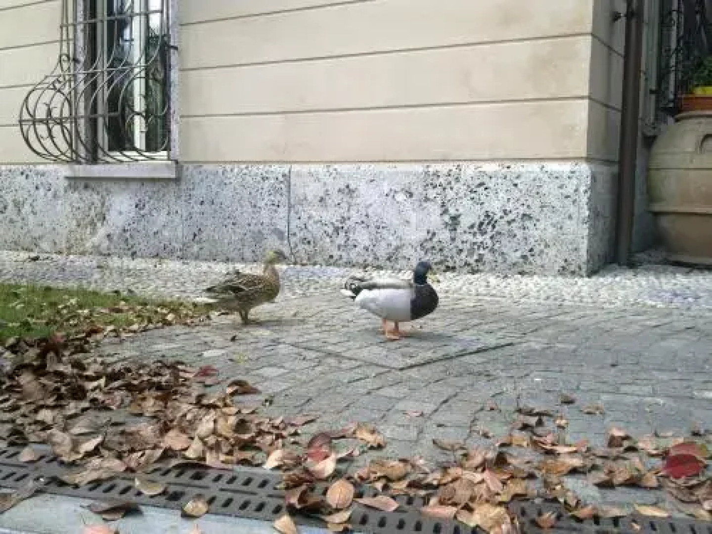 Bed & Breakfast Villa Palma