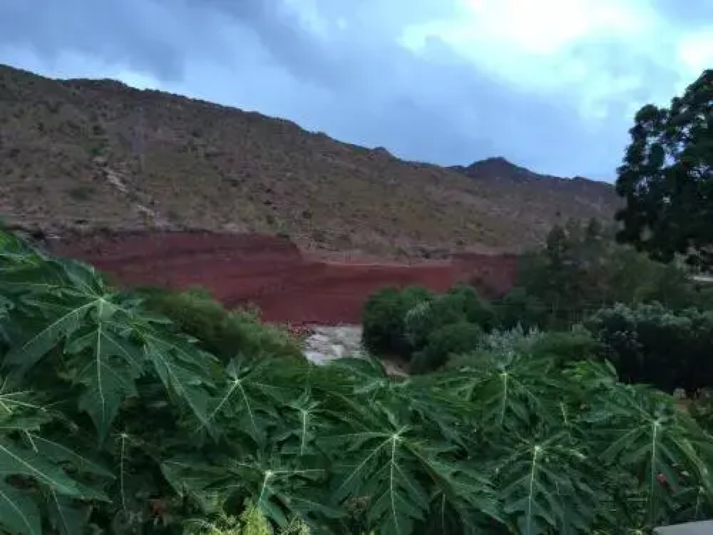 Hotel Parador Viña de Pereira