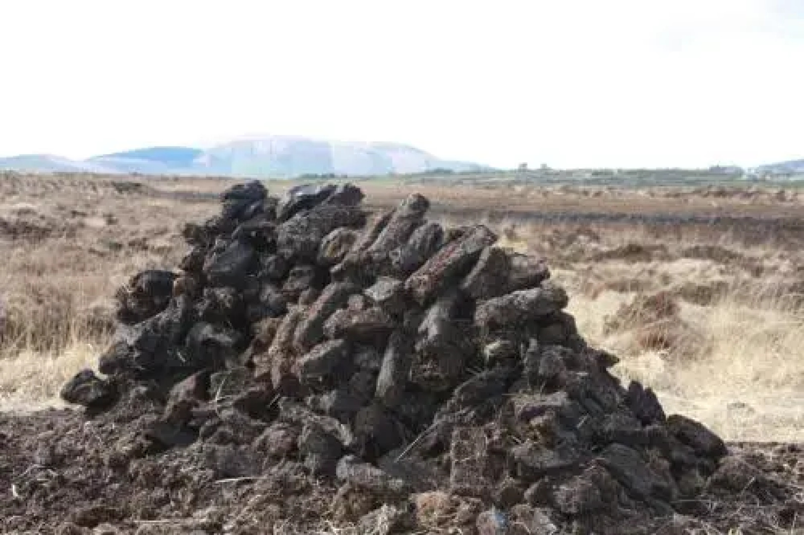 The Old School House B&B