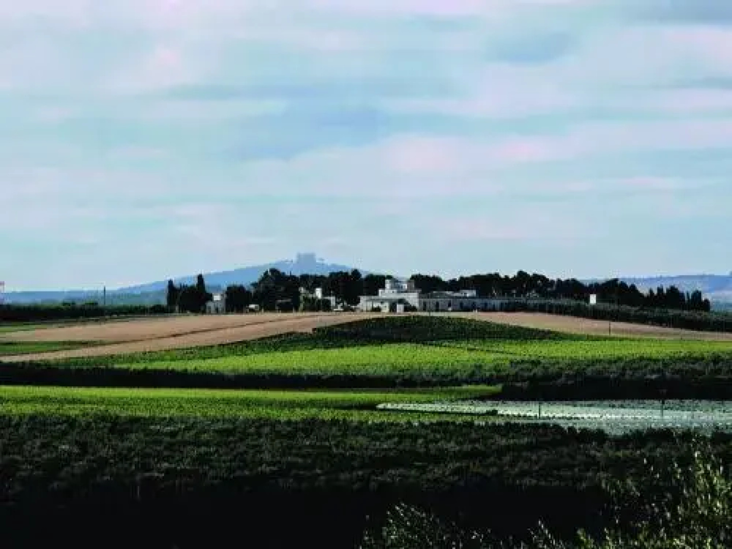 Terre Di Traiano