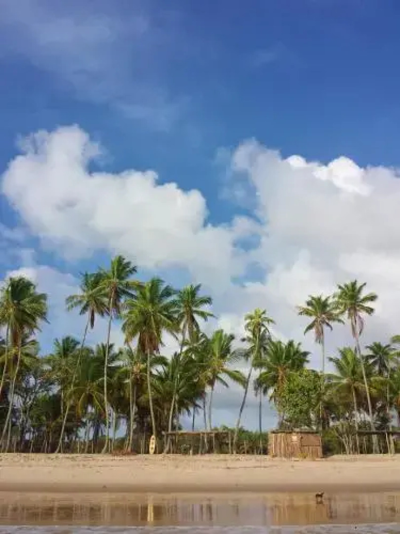 Camping Flor Do Cerrado