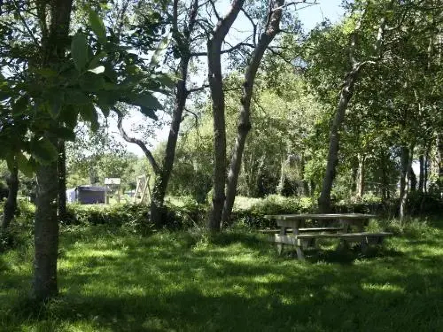 Les Pentys De Mezou Pors