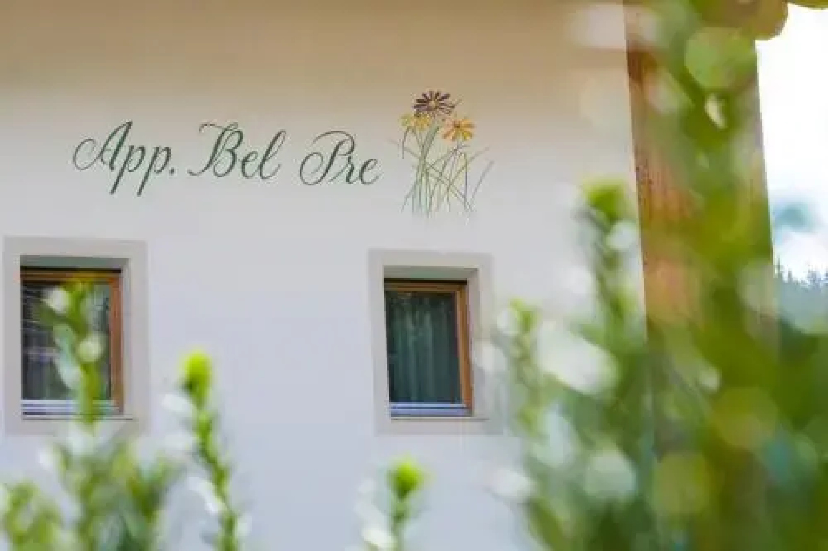 Apt Bel Pre