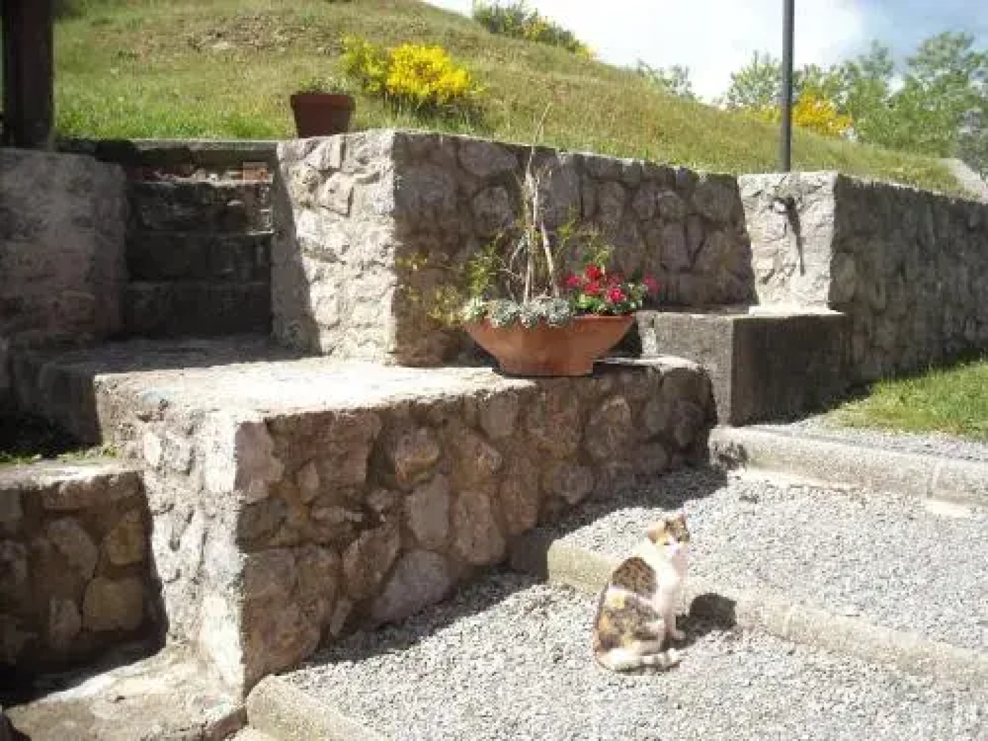 B&B Casale Dorando