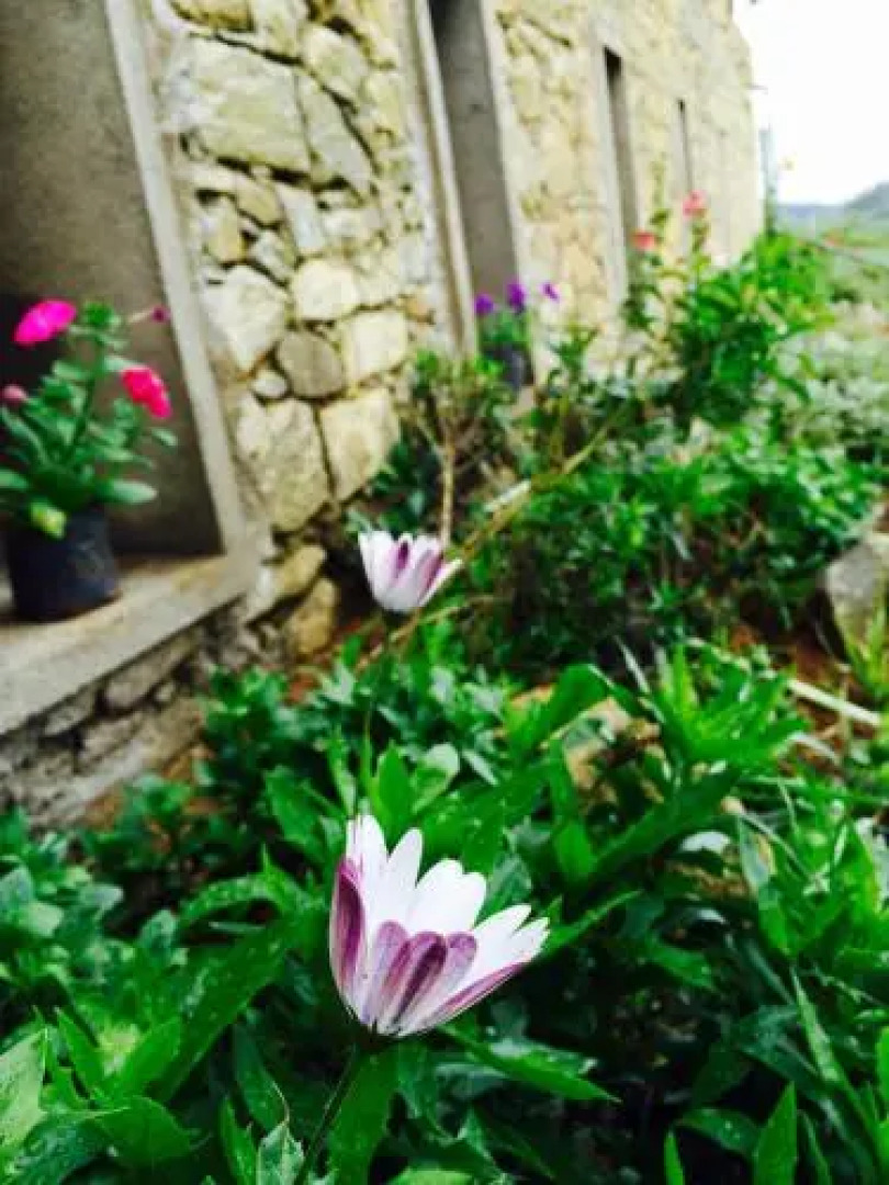 Nuwara Eliya The Fern Cove