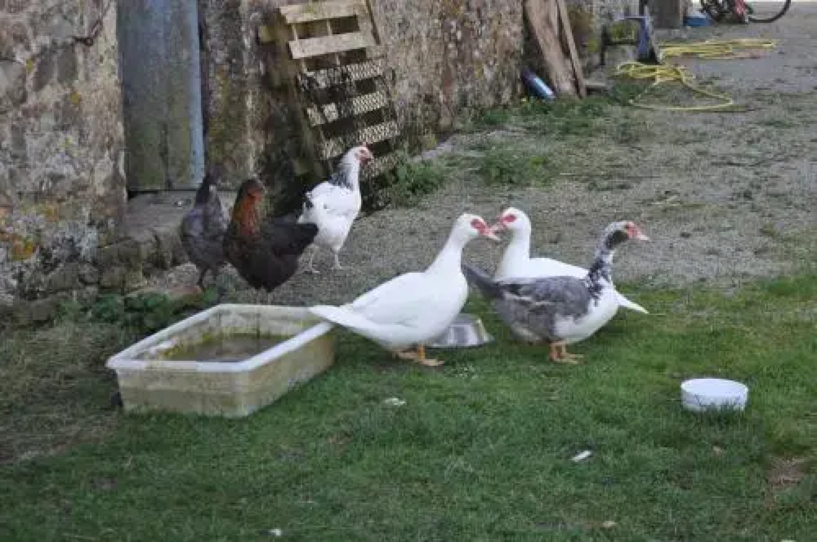 Chambre d’hôtes La Ferté