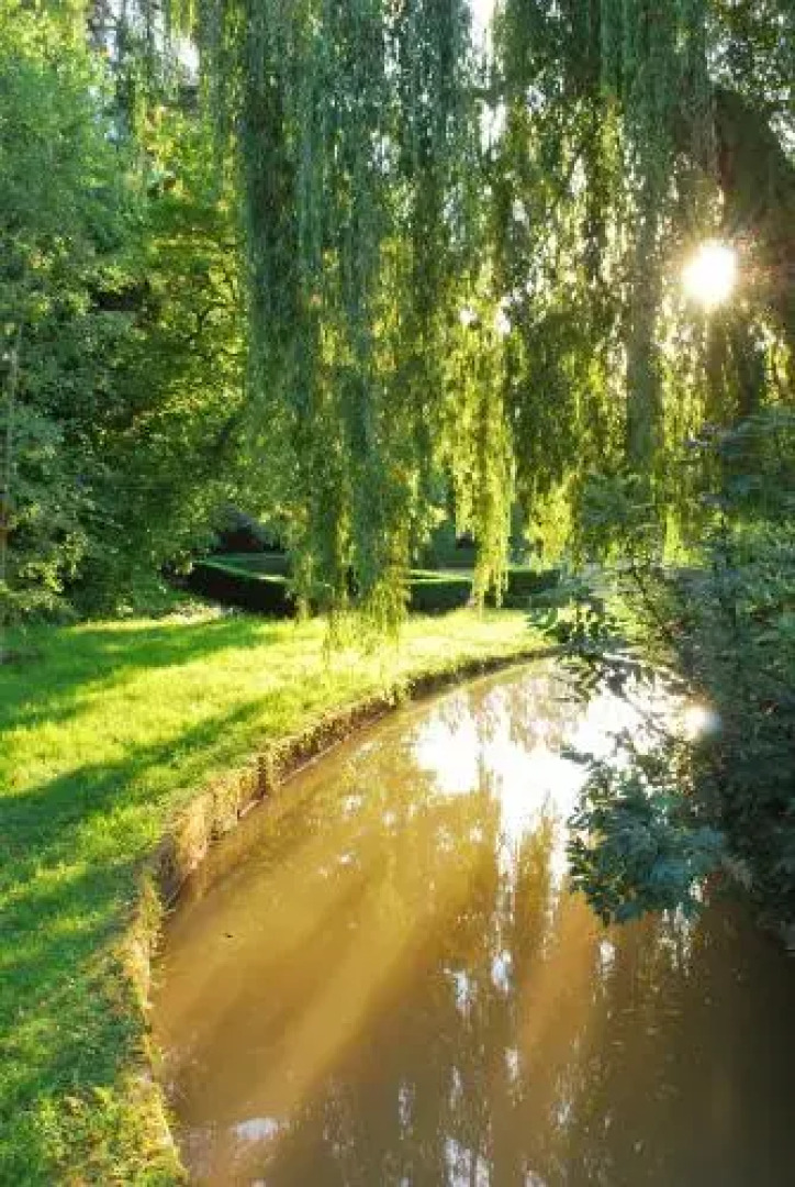 Château de Tanay B&B