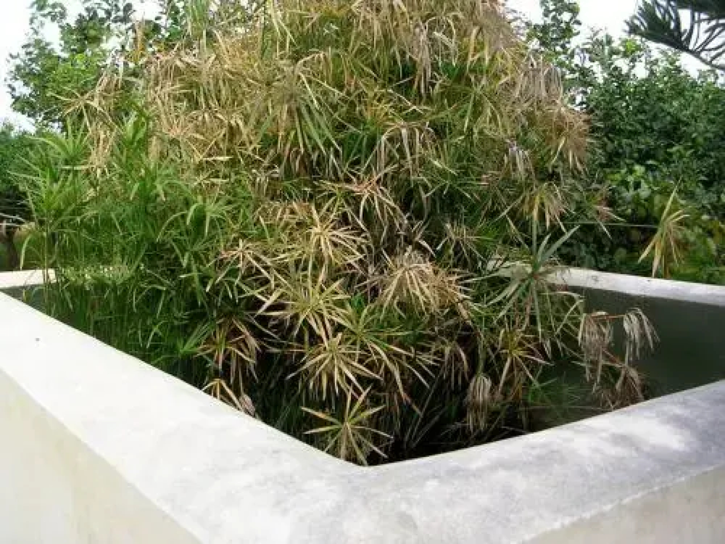 B&B Baglio San Clemente