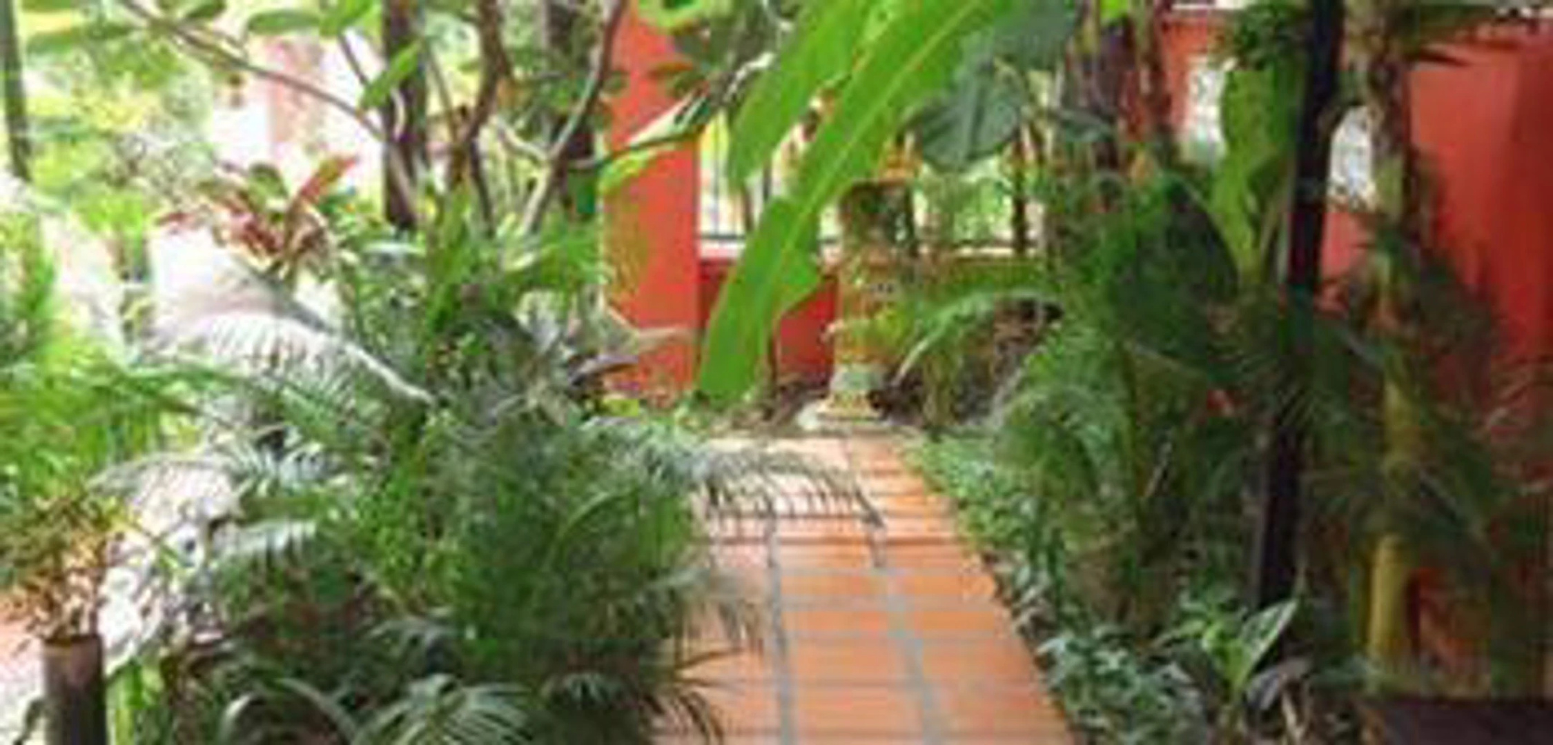Ladybug Guesthouse