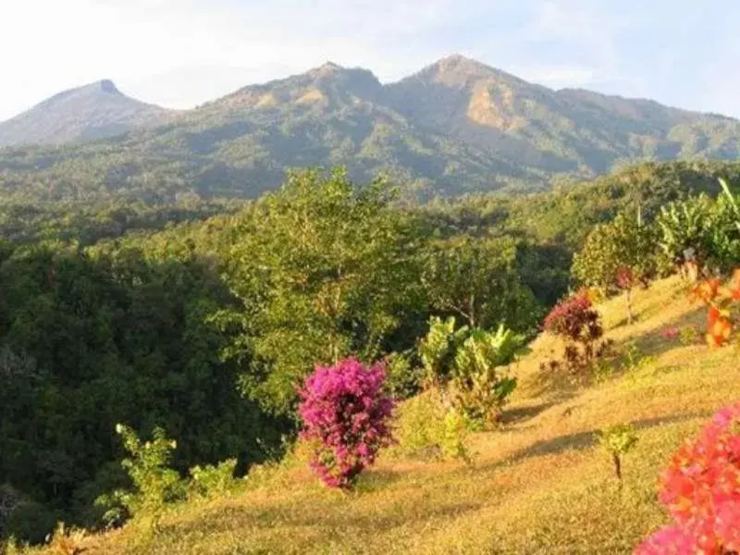 Pondok Senaru Lombok