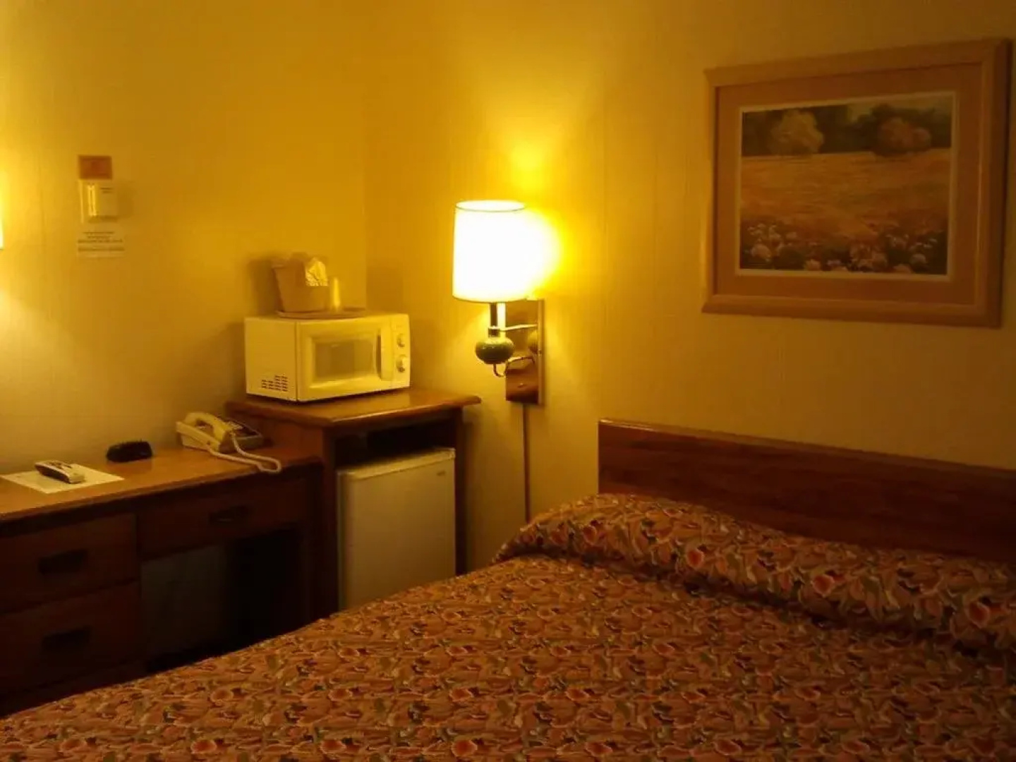 starlite motel