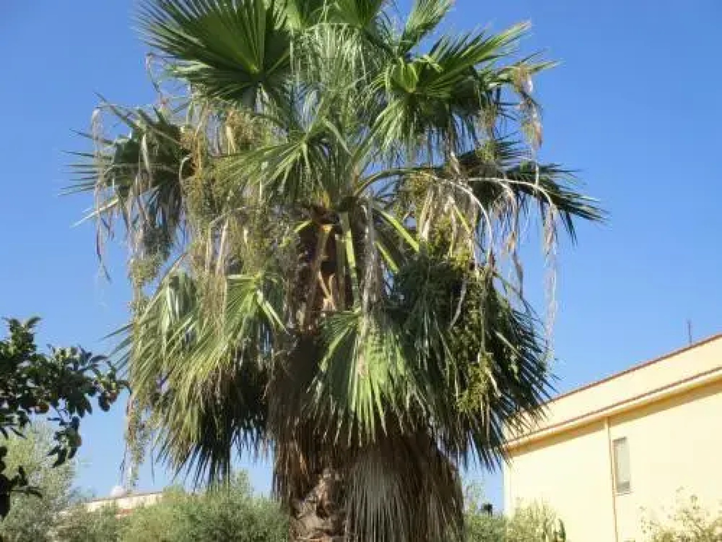 Bed & Breakfast Villa Violetta
