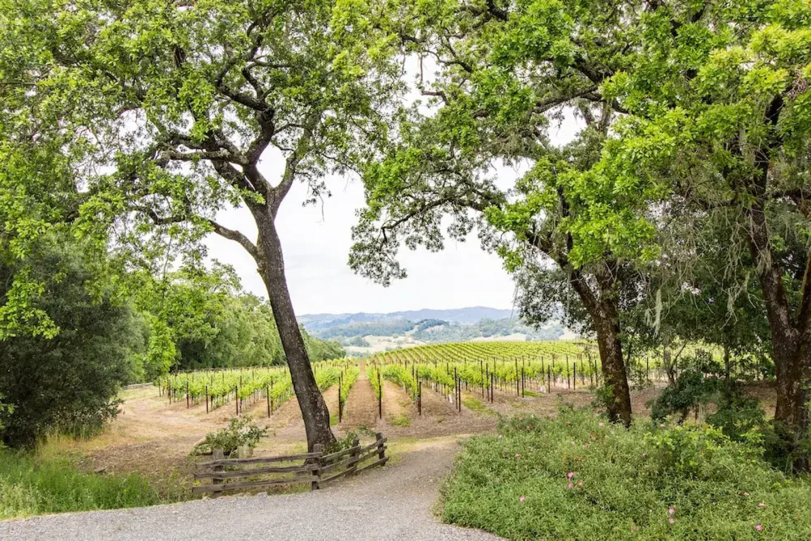 Alexander Valley Estate in the Vineyards by RedAwning